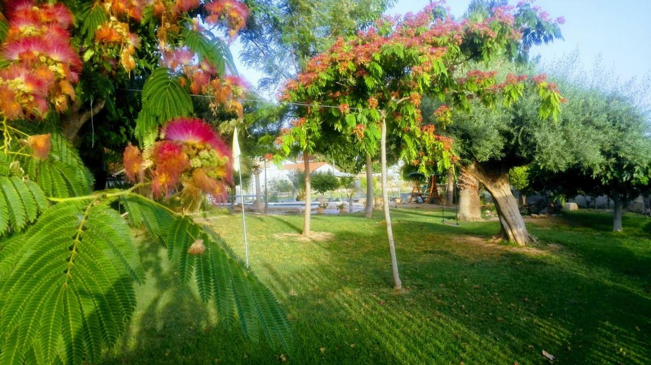 La Toscana Murcie Extérieur photo